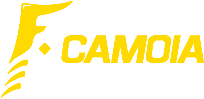 Neumáticos Camoia